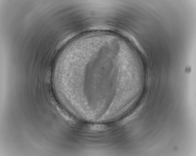 X0000093100833200710241219