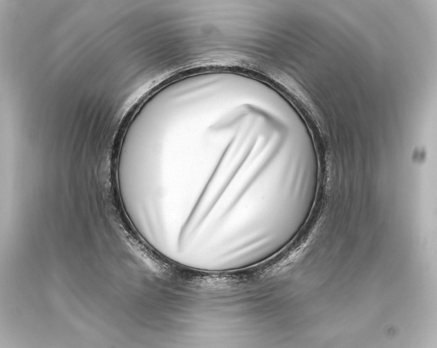 X0000093100834200710241219
