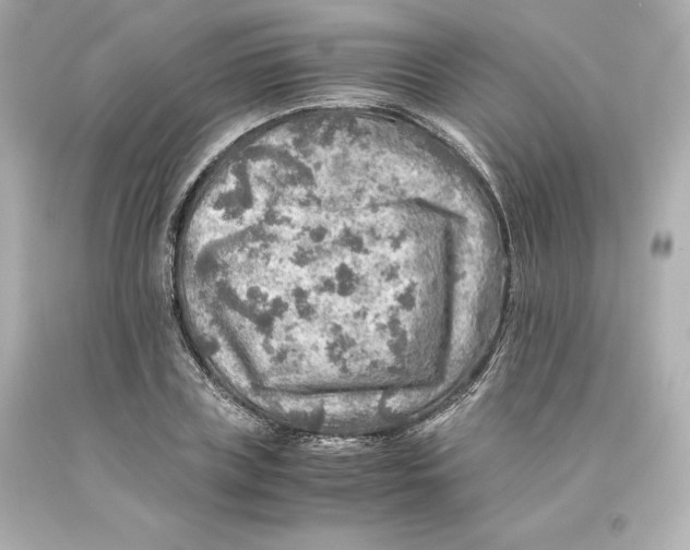 X0000093100835200710241219