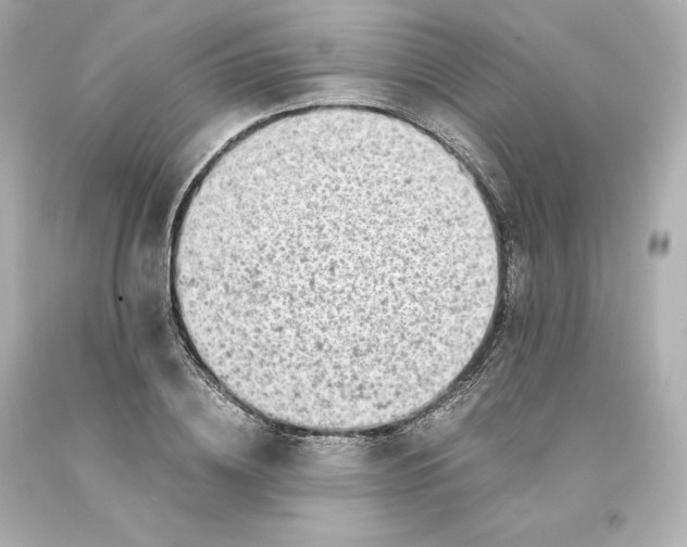 X0000093100836200710241219
