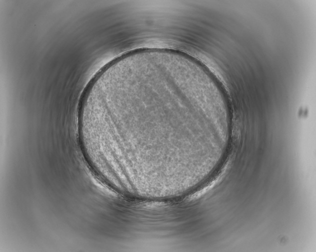 X0000093100837200710241219