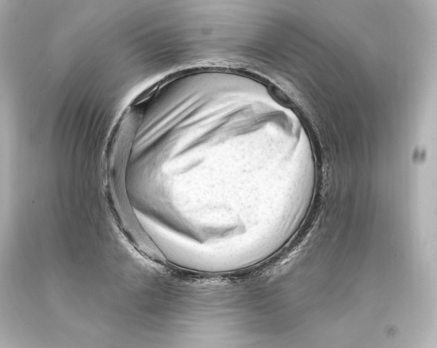 X0000093100838200710241219