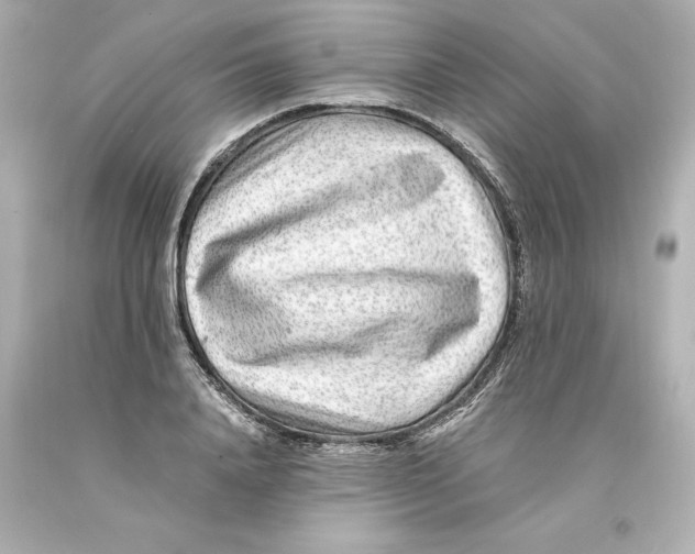 X0000093100840200710241219