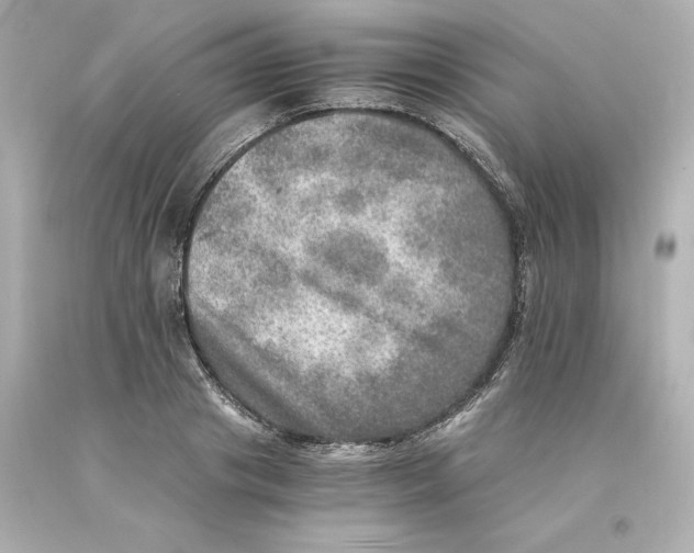 X0000093100841200710241219