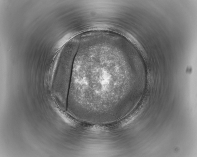 X0000093100842200710241219