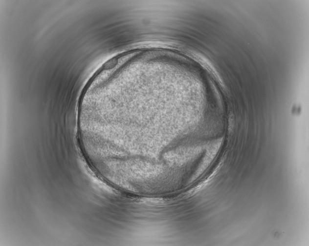 X0000093100844200710241219