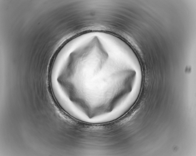 X0000093100845200710241219