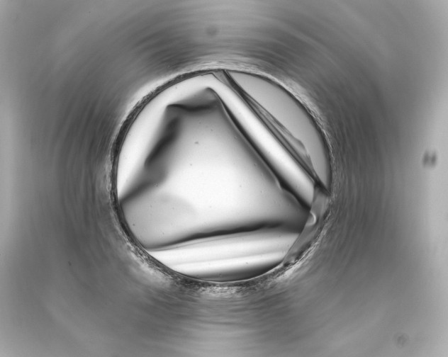 X0000093100846200710241219