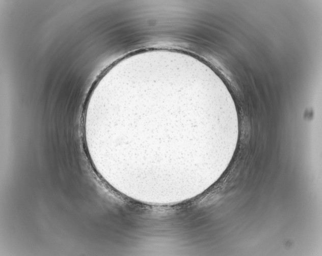 X0000093100848200710241219