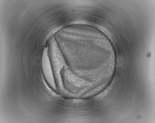 X0000093100849200710241219