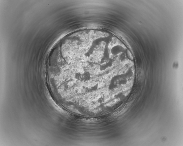 X0000093100851200710241219