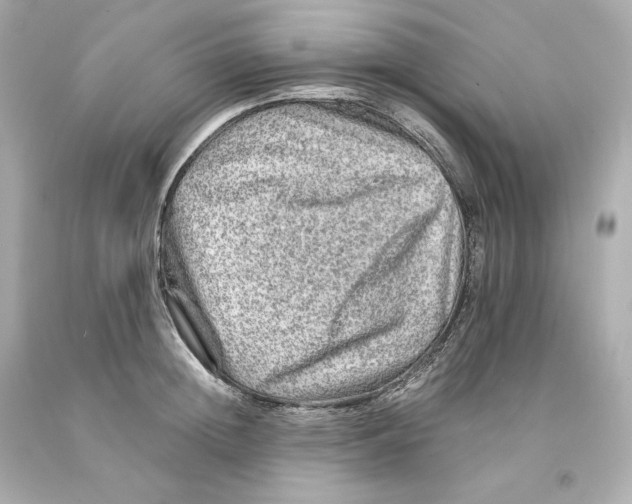 X0000093100852200710241219