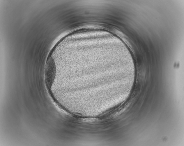 X0000093100853200710241219