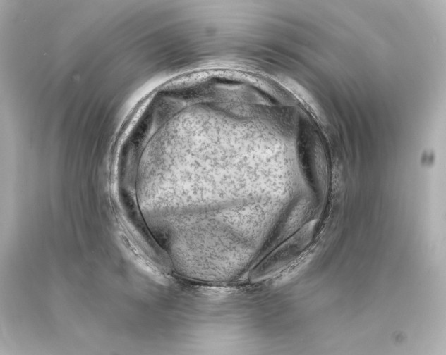 X0000093100854200710241219