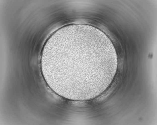 X0000093100856200710241219