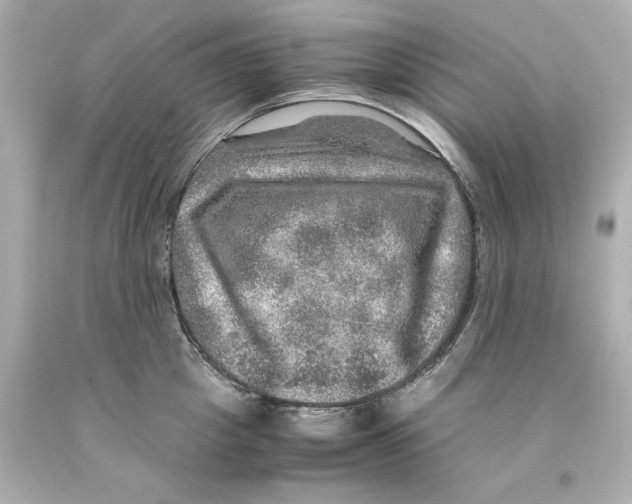 X0000093100857200710241219