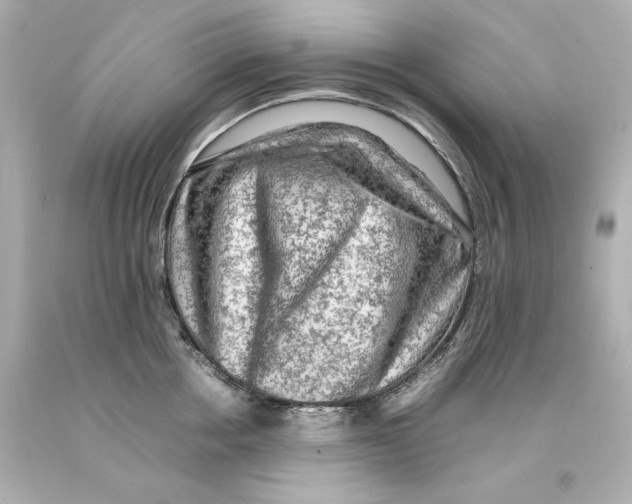 X0000093100858200710241220