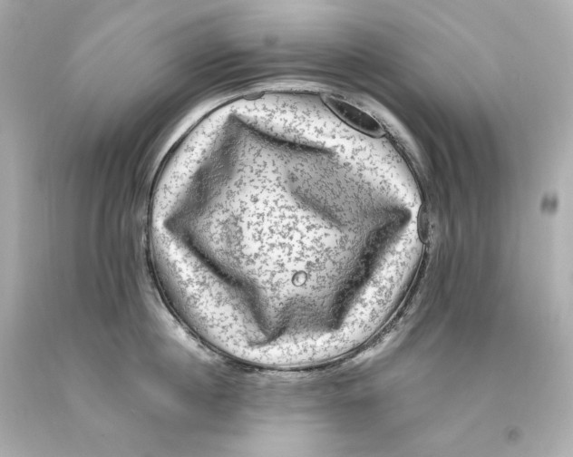 X0000093100860200710241220
