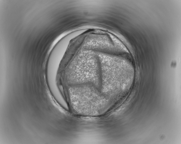 X0000093100862200710241220