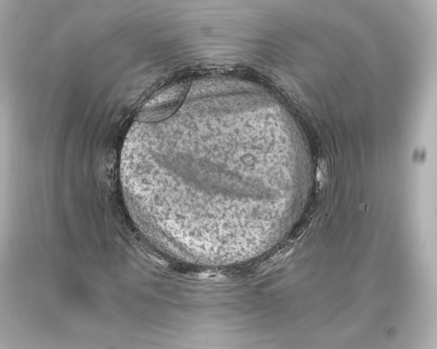 X0000093100867200710241219