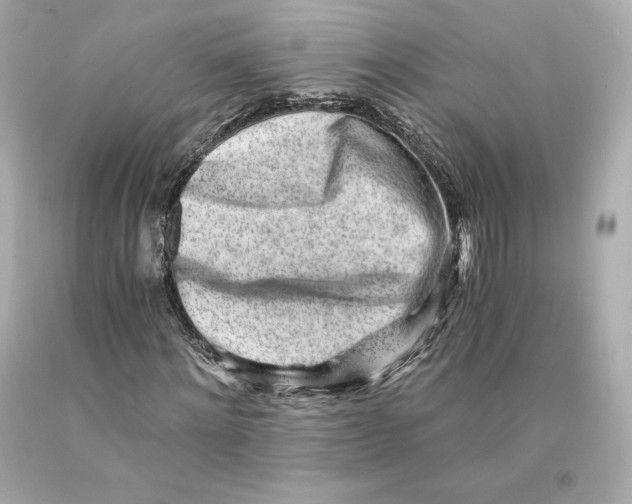 X0000093100868200710241219