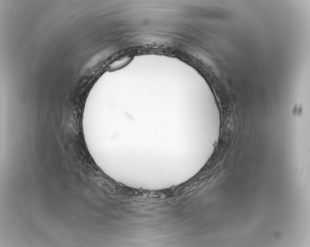 X0000093100869200710241219