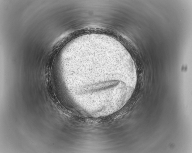 X0000093100870200710241219