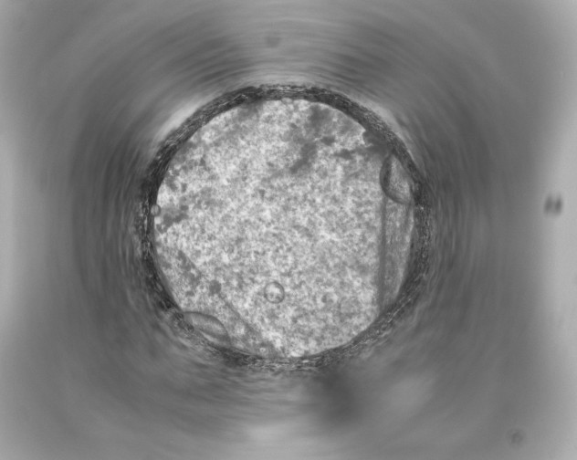 X0000093100871200710241219