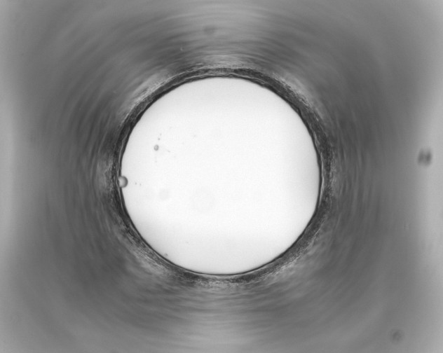 X0000093100873200710241219