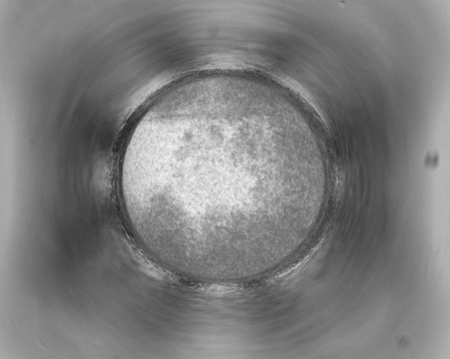 X0000093100874200710241219