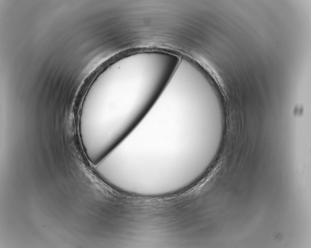 X0000093100876200710241219