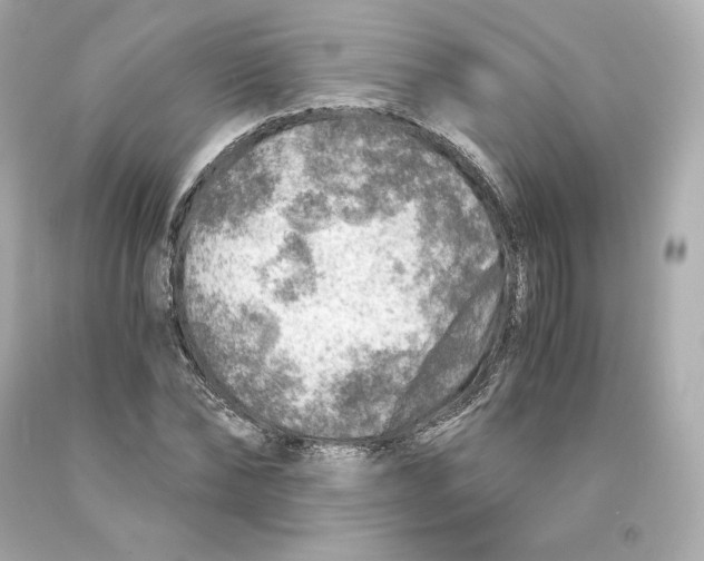 X0000093100878200710241219