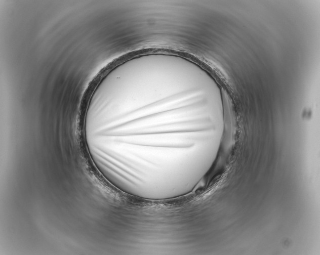 X0000093100880200710241219