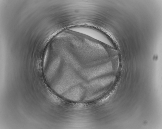 X0000093100881200710241219
