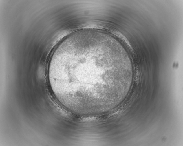 X0000093100882200710241219