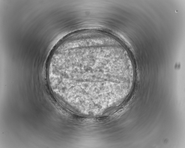 X0000093100883200710241219