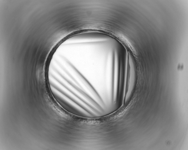 X0000093100884200710241219