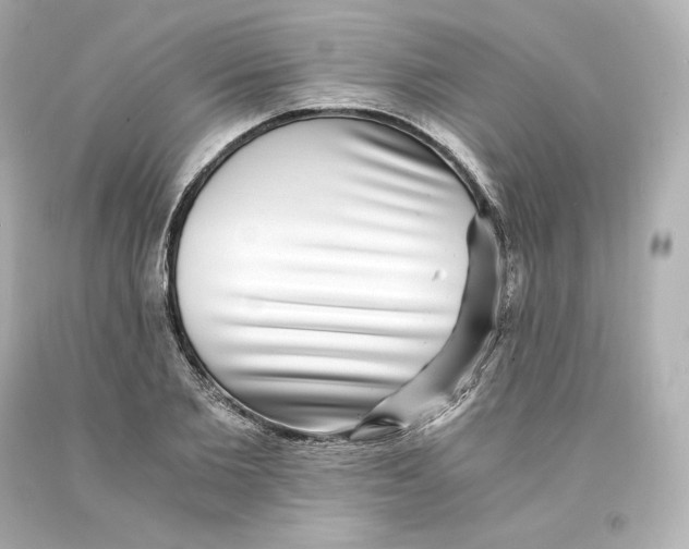 X0000093100885200710241219