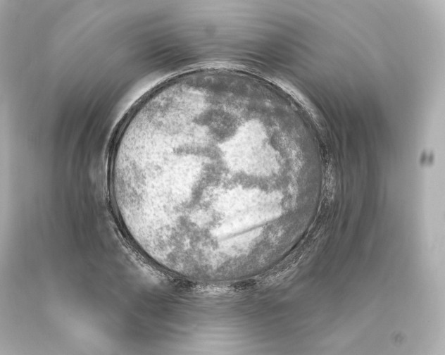 X0000093100886200710241219