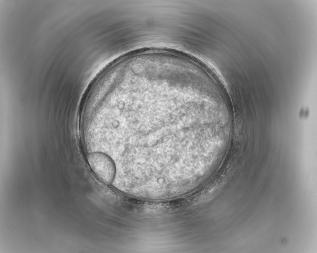 X0000093100887200710241219