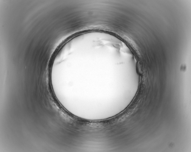 X0000093100888200710241219