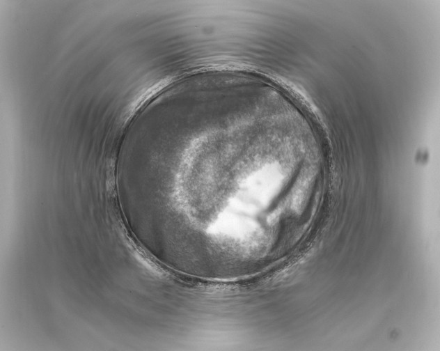 X0000093100889200710241219