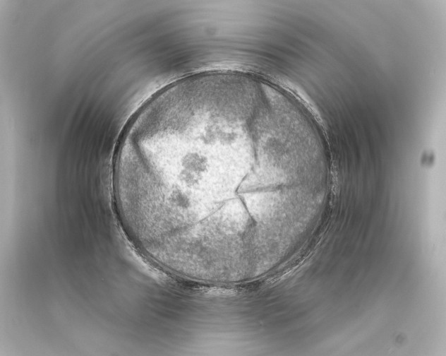 X0000093100890200710241219