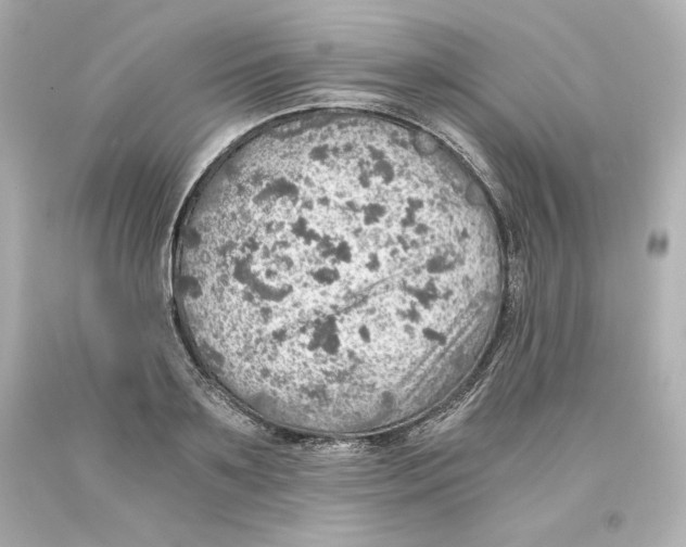X0000093100891200710241219