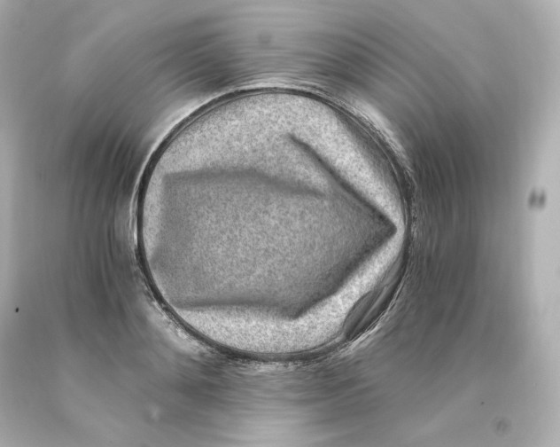 X0000093100892200710241219