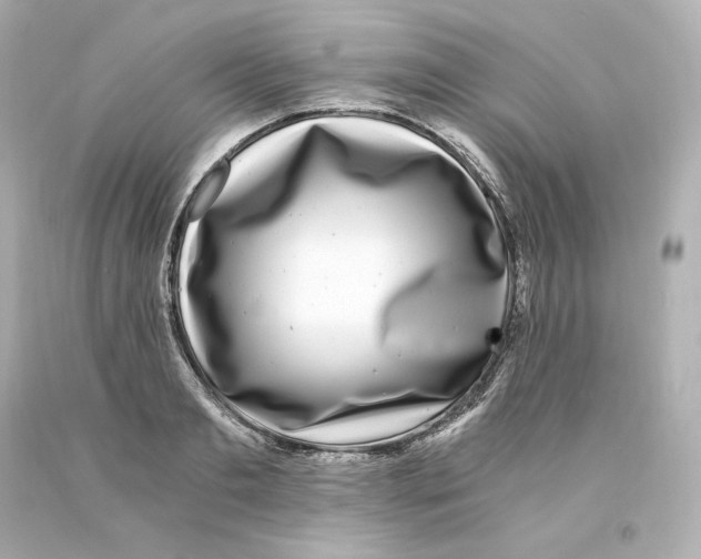 X0000093100893200710241219