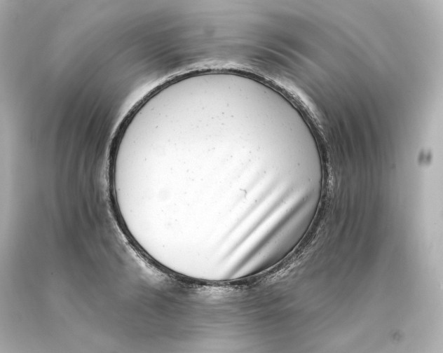 X0000093100894200710241219
