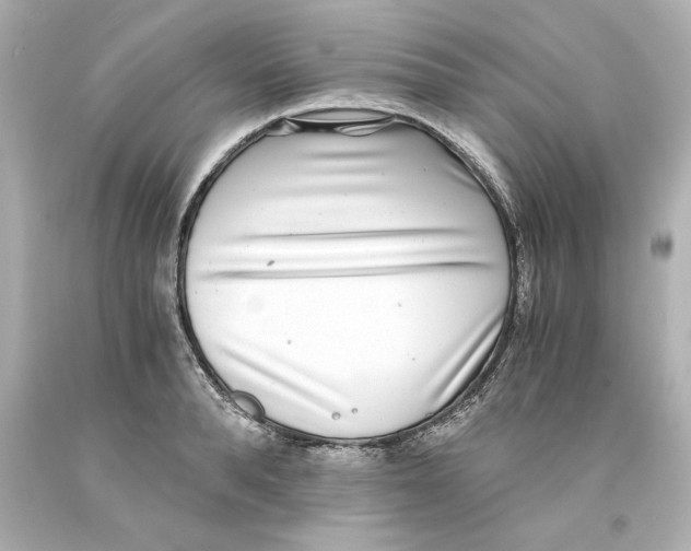 X0000093100896200710241219