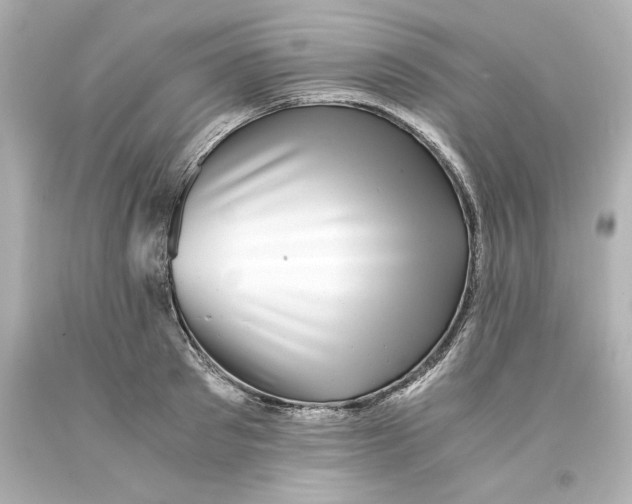 X0000093100897200710241219