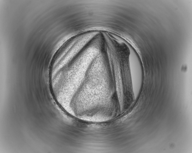 X0000093100898200710241219